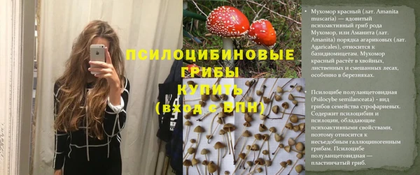 прущий лед Алексин