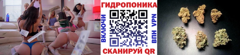 как найти закладки  Сыктывкар  Конопля VHQ 